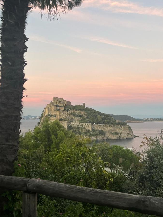 Villa To Ischia With Love Buitenkant foto